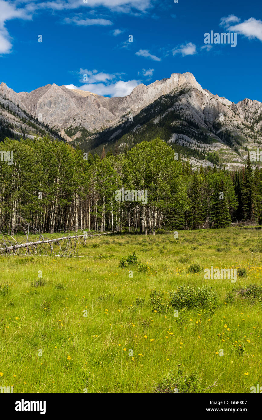Pintoresco paisaje de montaña, Parque Nacional de Banff, Alberta, Canadá Foto de stock