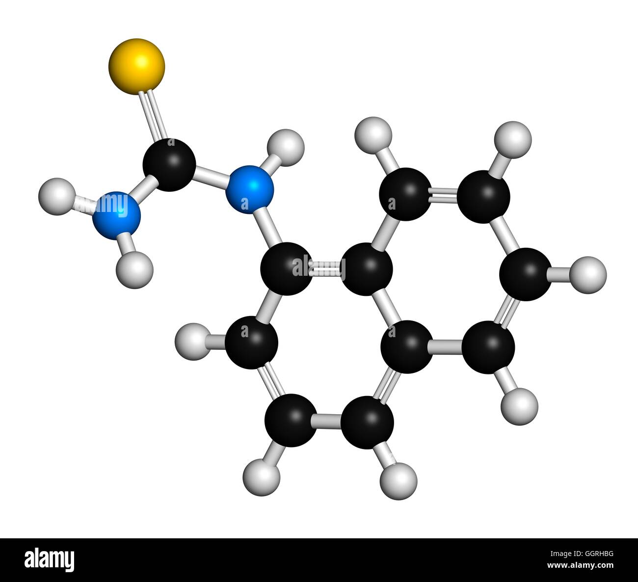 Alfa-naphthylthiourea (ANTU) rodenticida, modelo molecular. Los átomos son  representados como esferas con codificación de color convencional:  hidrógeno (blanco), el Carbono (negros), nitrógeno (azul), azufre  (amarillo). Ilustración Fotografía de stock ...