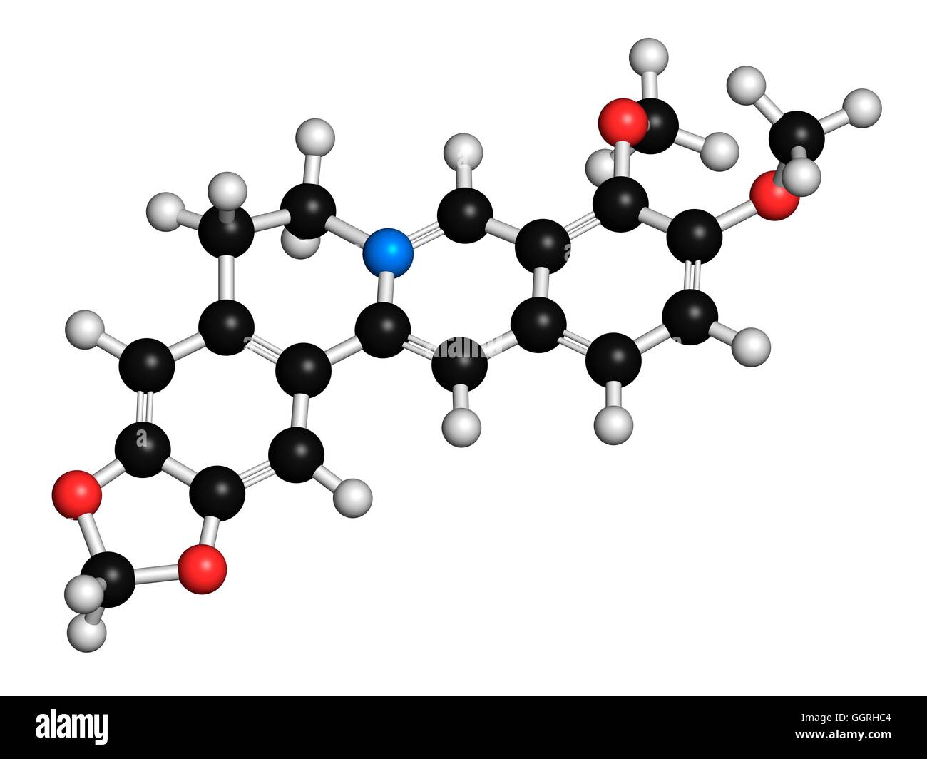 Berberina medicina herbaria, modelo molecular. Los átomos son representados como esferas con codificación de color convencional: hidrógeno (blanco), el Carbono (negros), nitrógeno (azul), el oxígeno (rojo). Ilustración. Foto de stock