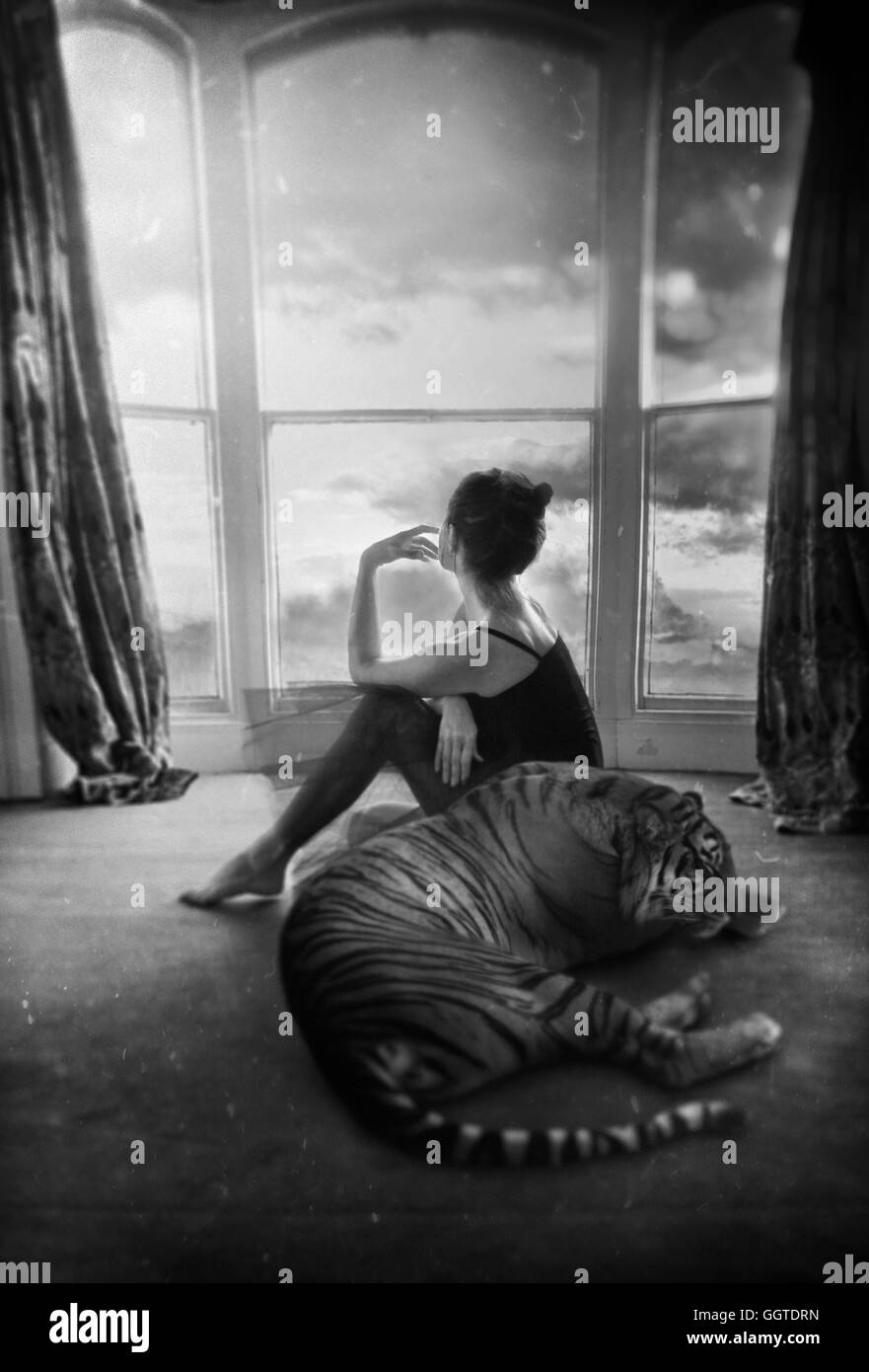Vista posterior de la joven mujer sentada en el piso con un tigre cerca de ella Foto de stock