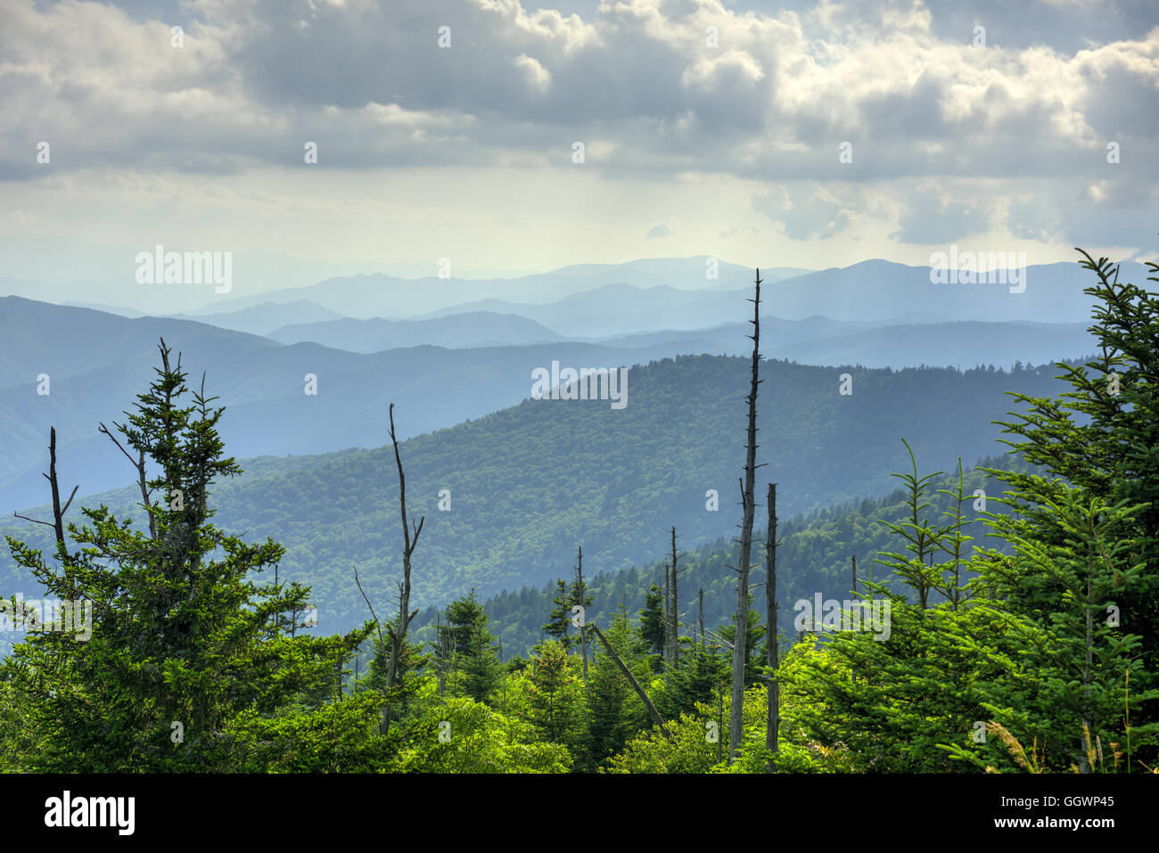 Las crestas de las montañas de verano en Carolina del Norte por encima del Newfound Gap Area Clingman, justo debajo de la cúpula. Foto por Darrell Joven. Foto de stock