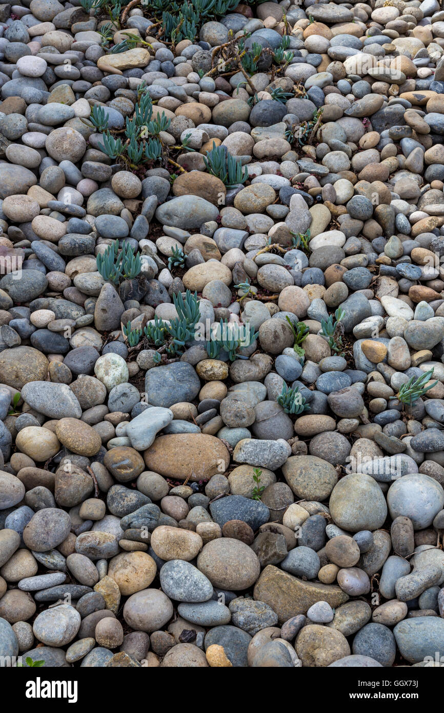 Jardin de piedra de rio fotografías e imágenes de alta resolución - Alamy