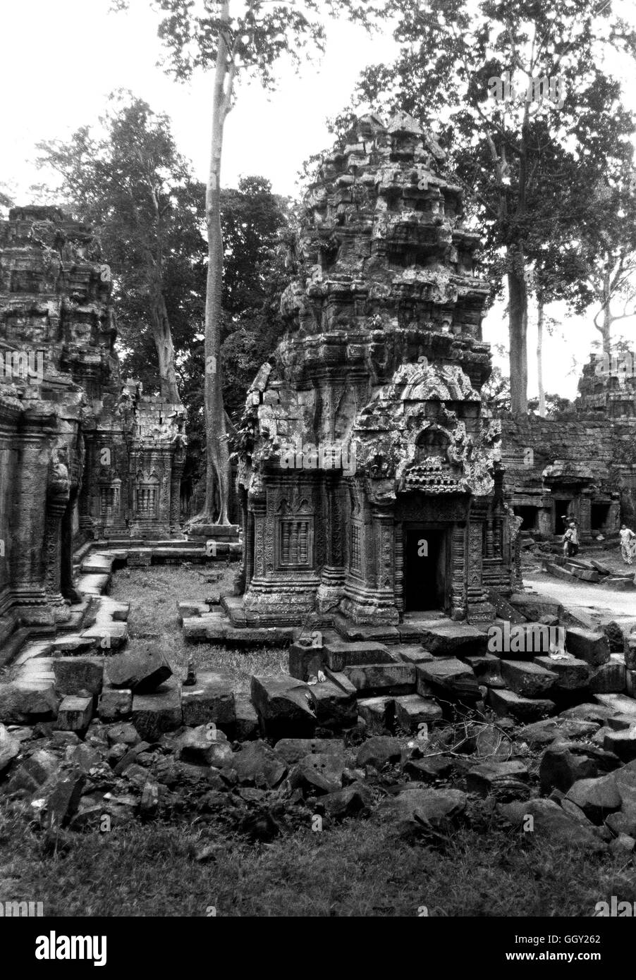 La entrada trasera de la fachada del templo de Ta Prohm en Angkor Wat. En Siem Reap, Camboya. Foto de stock