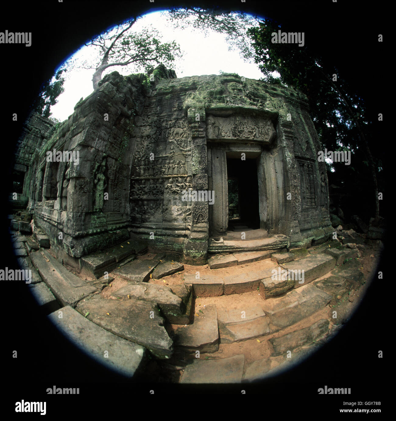 Foto de ojo de pez de las raíces de los árboles que cubren un muro en las ruinas del templo de Ta Prohm en Angkor Wat. En Siem Reap, Camboya. Foto de stock