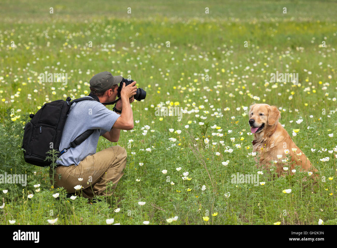 Fotografía hombre y su perro en una pradera Foto de stock