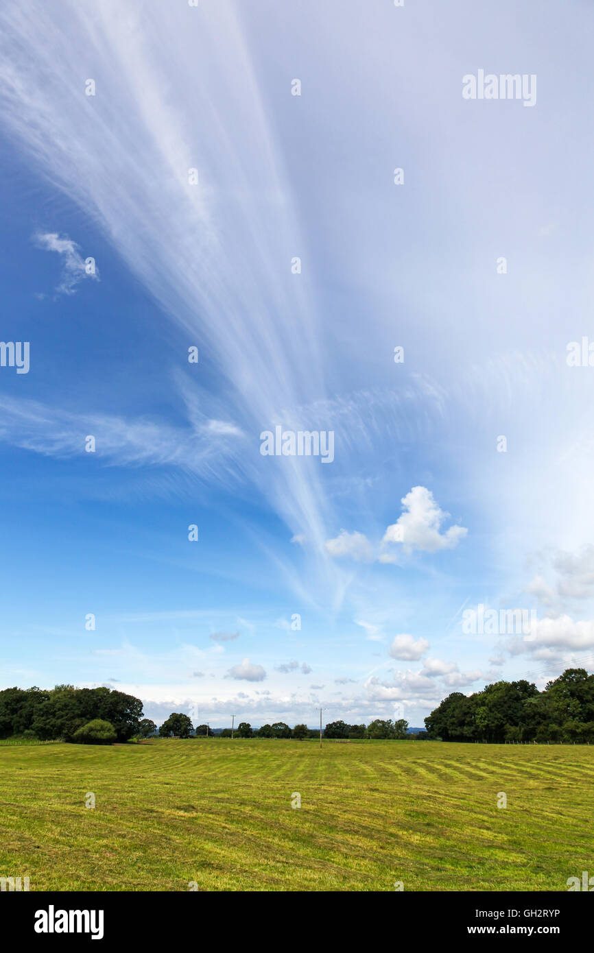 Altitud nubes cirros sobre un campo en un día de verano en Shropshire Inglaterra Foto de stock