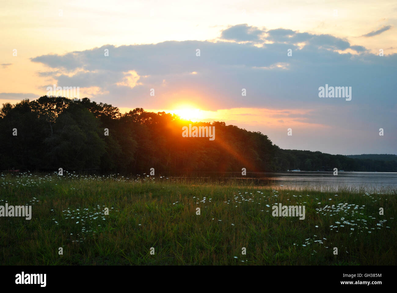 Glorioso atardecer de verano en un tranquilo estanque Foto de stock