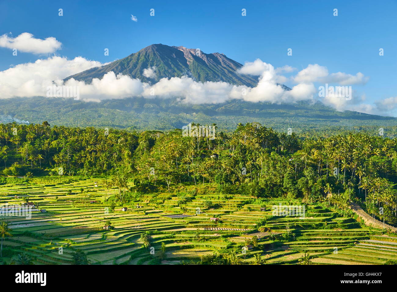 Volcán Gunung Agung y terrazas de arroz, Bali, Indonesia Foto de stock