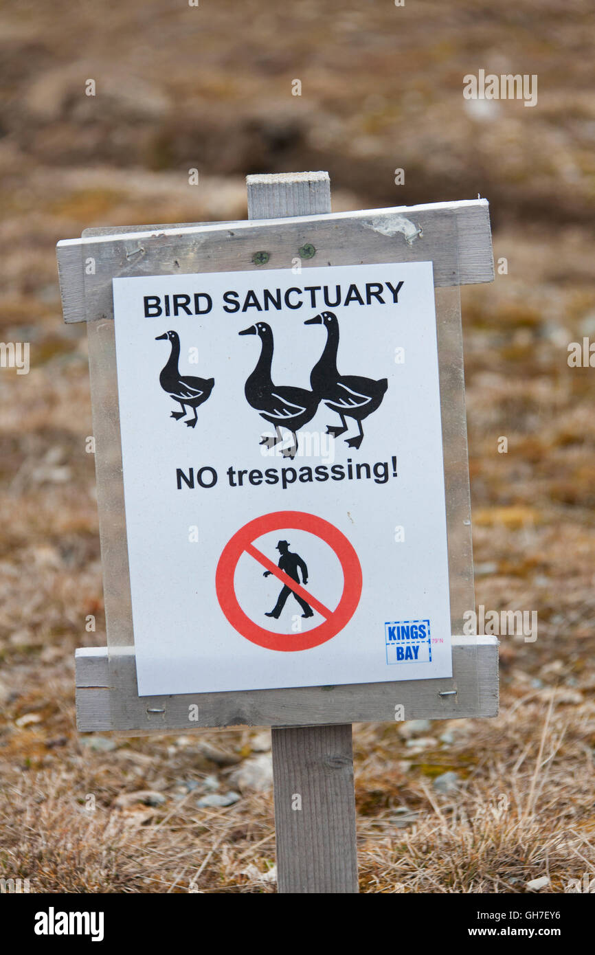 Señal de advertencia para el santuario de aves cerca de Ny-Ålesund, Svalbard / Spitsbergen, Noruega Foto de stock