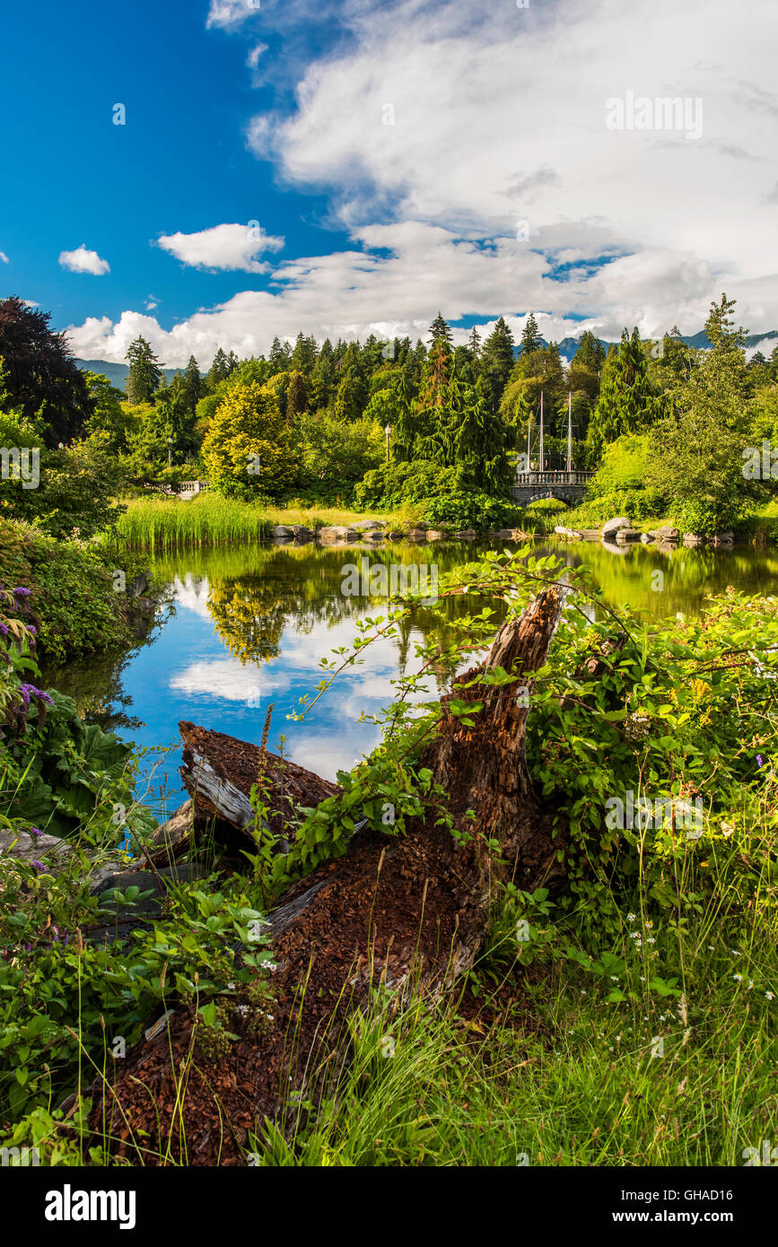 Stanley Park, Vancouver, British Columbia, Canadá Foto de stock