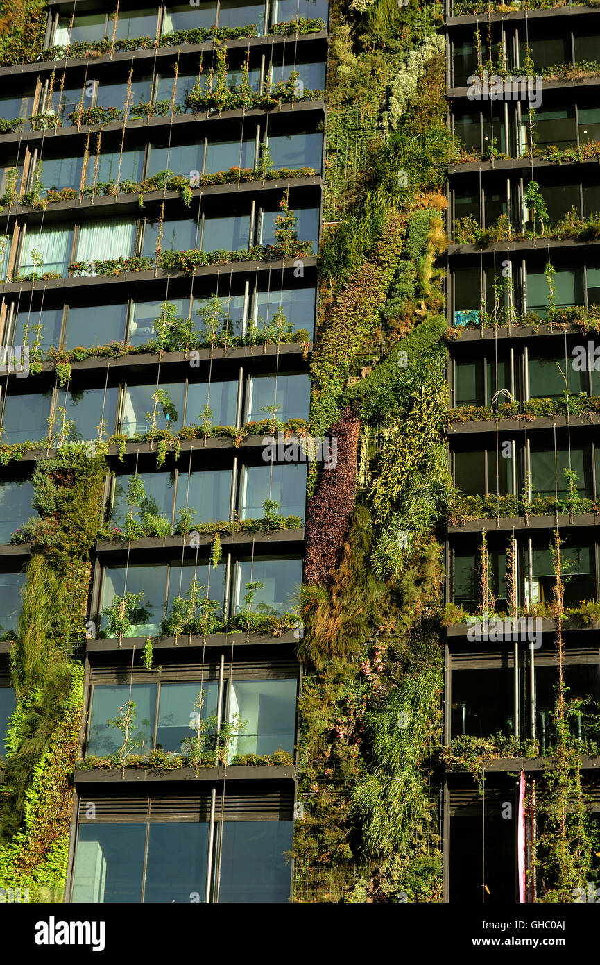 Jardín Vertical en Sydney a gran altura cuadrado verde Foto de stock