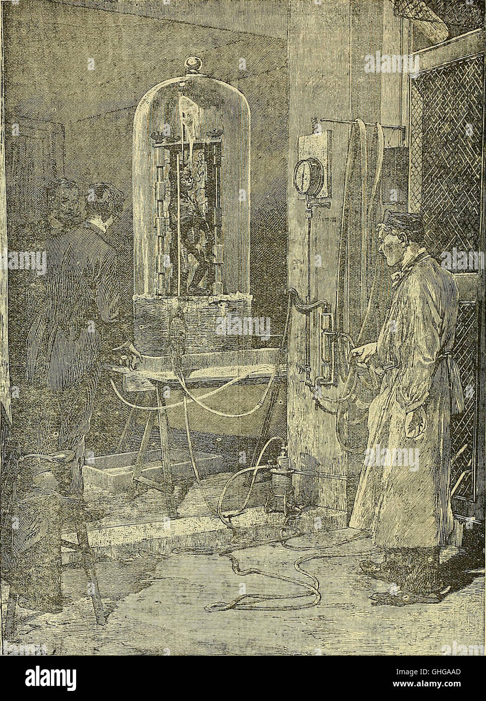 Cosmos - revista ilustrada de artes y ciencias (1892) Foto de stock