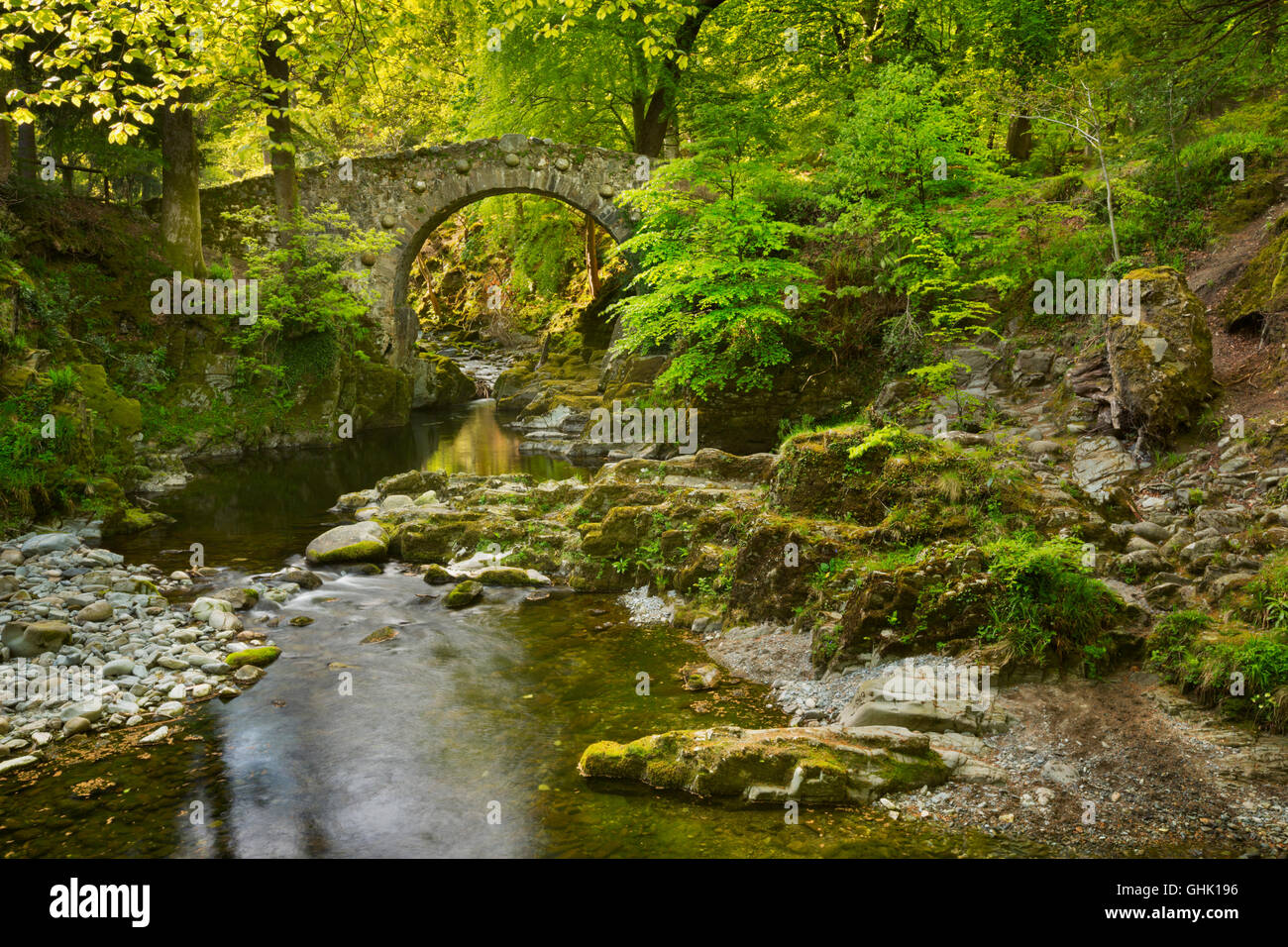 Foley's puente sobre el río Shimna en Tollymore Park, Irlanda del Norte. Foto de stock