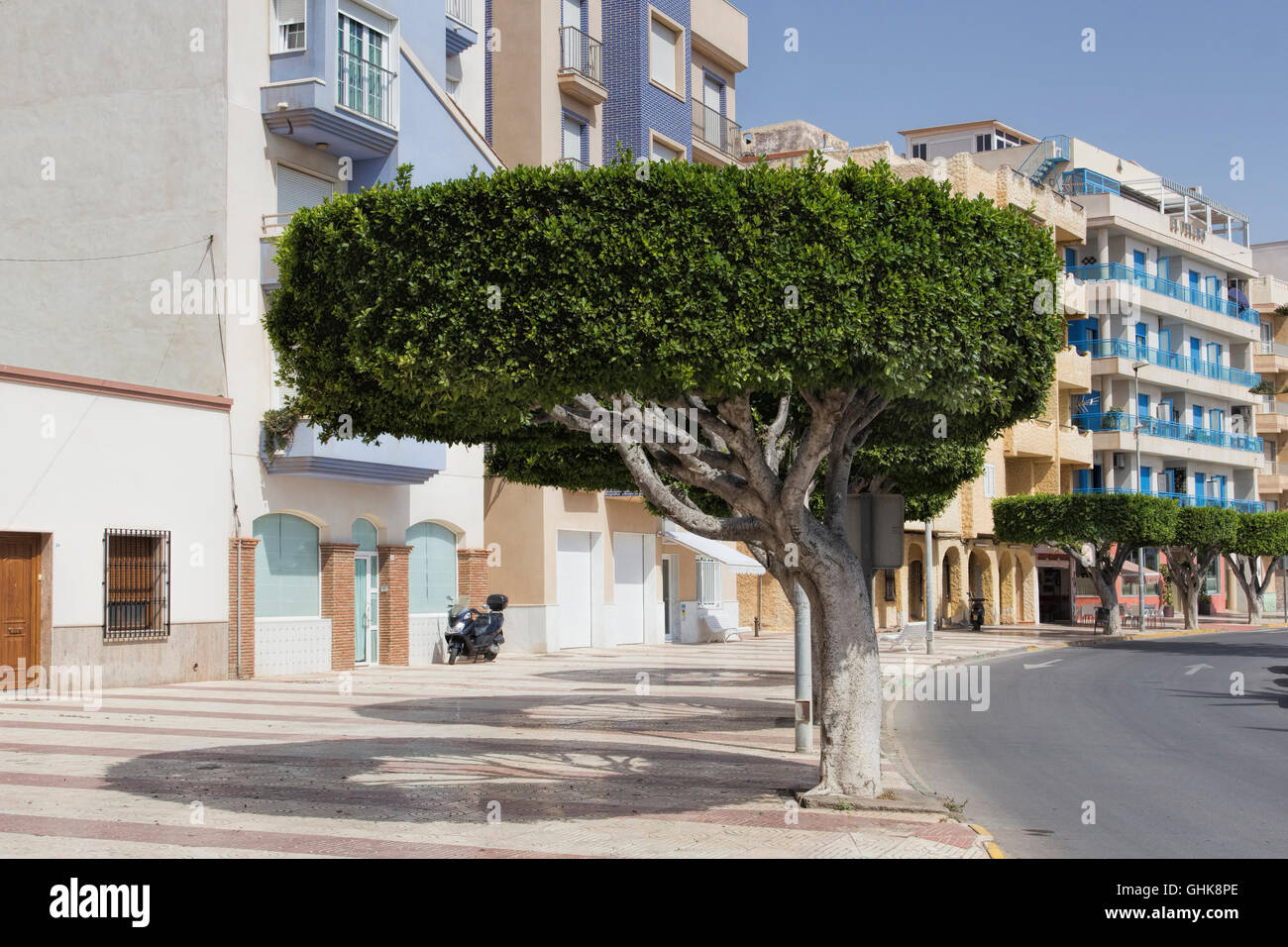 Topiarios en la calle Roquetas de Mar, Costa Almería, España. Andalucía. Un complejo que disfrutan los españoles. Foto de stock