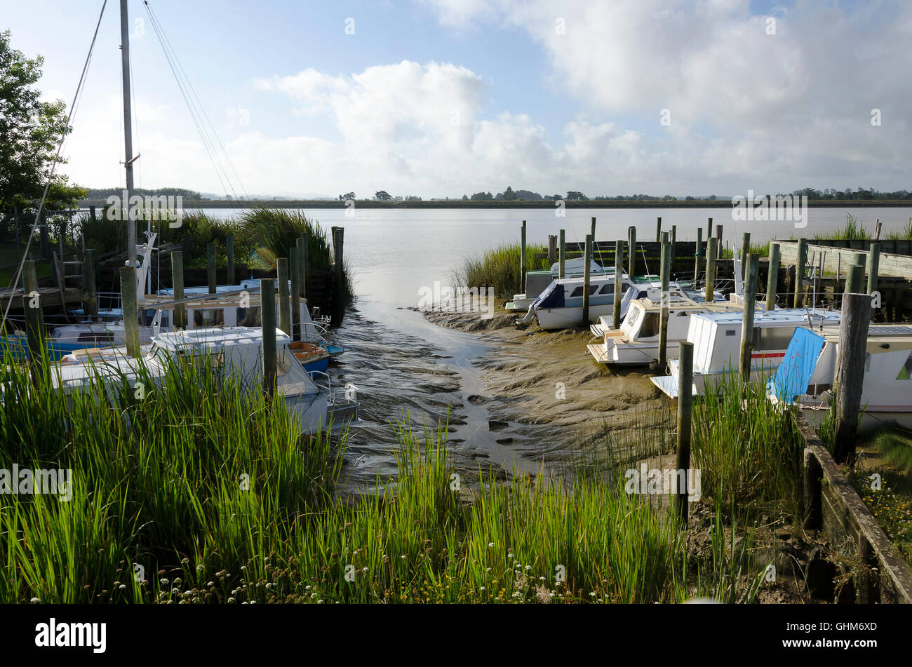 Barcos amarrados, Río Wairoa Dargaville, Hokianga, Northland, Isla del Norte, Nueva Zelanda Foto de stock