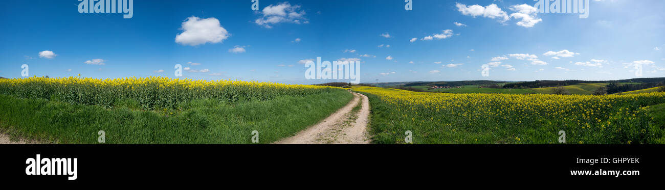 Panorama de la carretera de tierra y campo verde Foto de stock