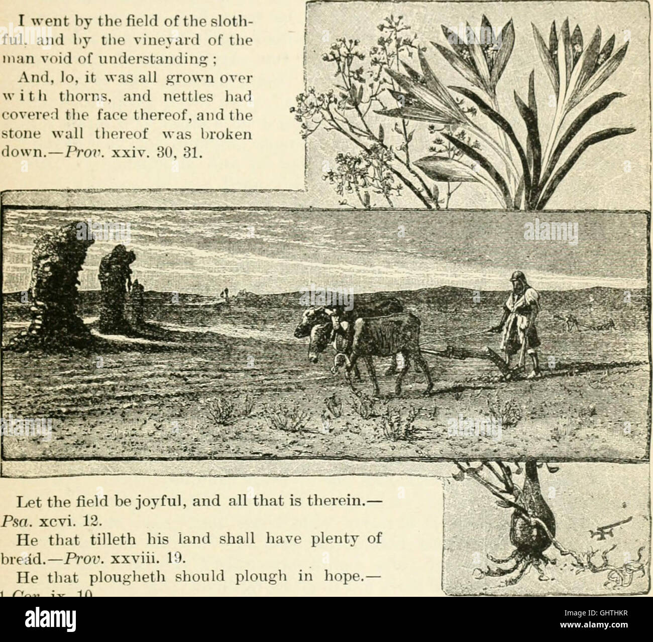 La Tierra Santa y la Biblia; (1888) Foto de stock