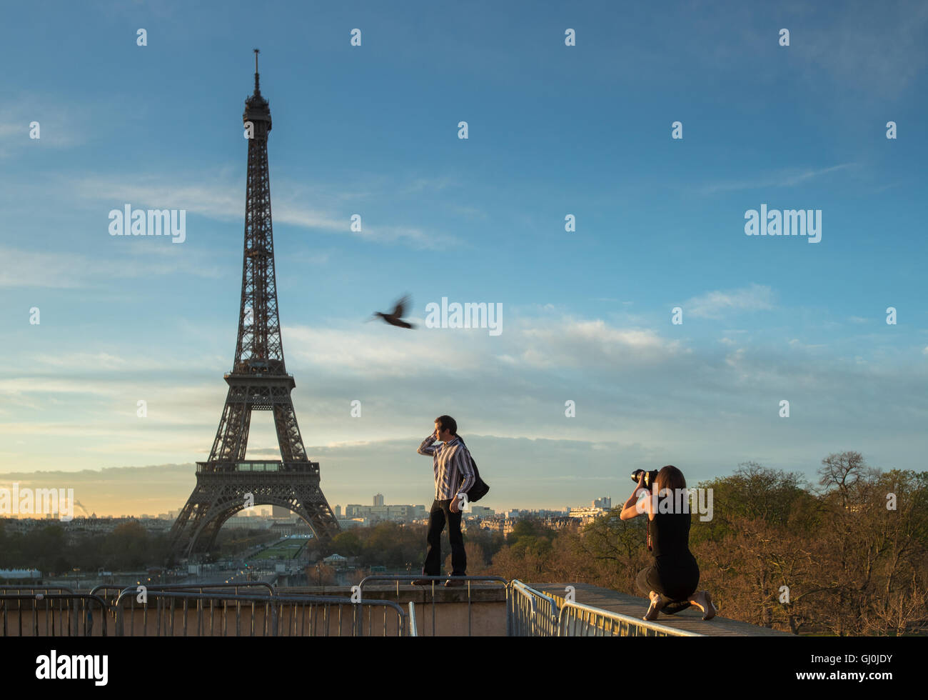 La fotografía de moda y el pájaro en el Palais de Chaillot con la Torre Eiffel como telón de fondo, París, Francia Foto de stock