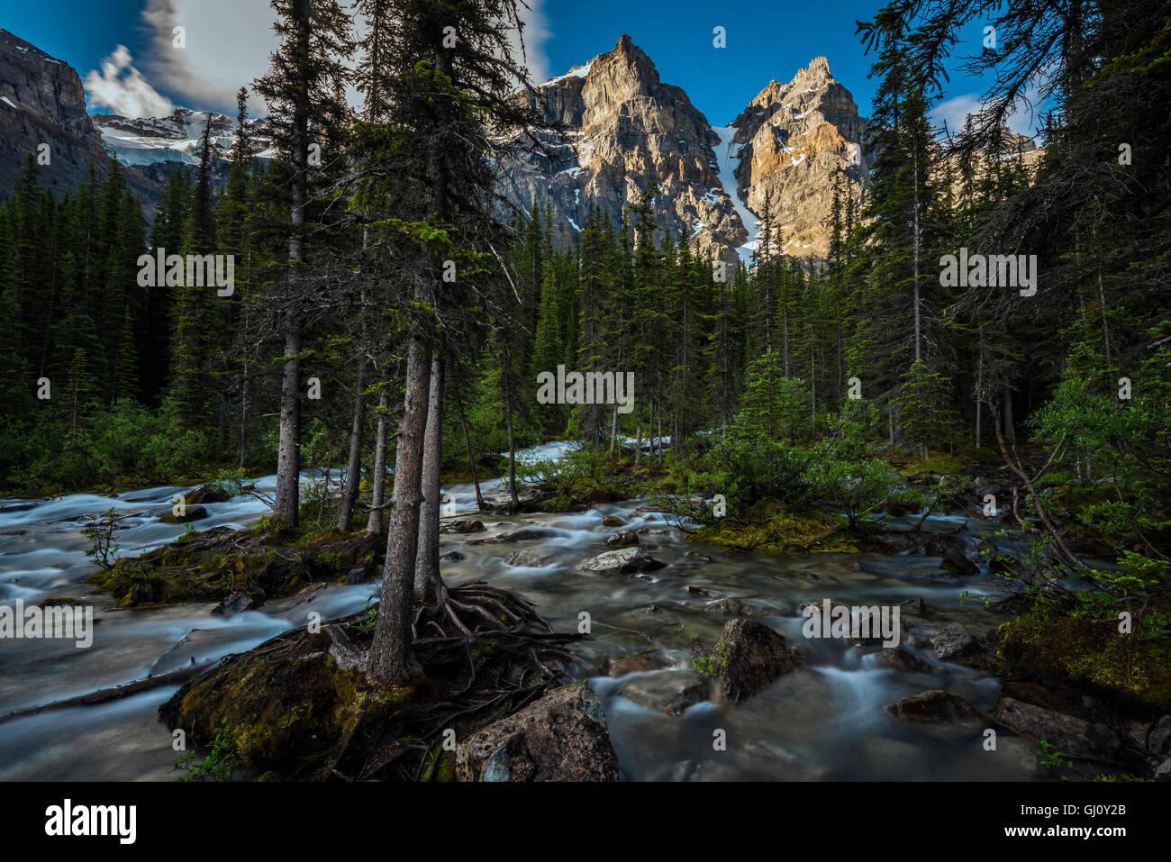 Valle de los Diez Picos, Parque Nacional de Banff, Alberta, Canadá Foto de stock