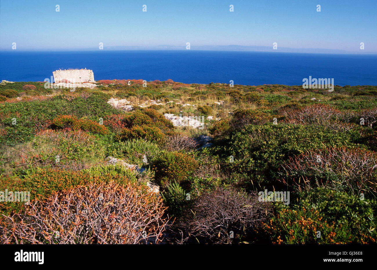 La isla de San Nicola, Islas Tremiti, provincia de Foggia, Puglia, Italia, Europa Foto de stock