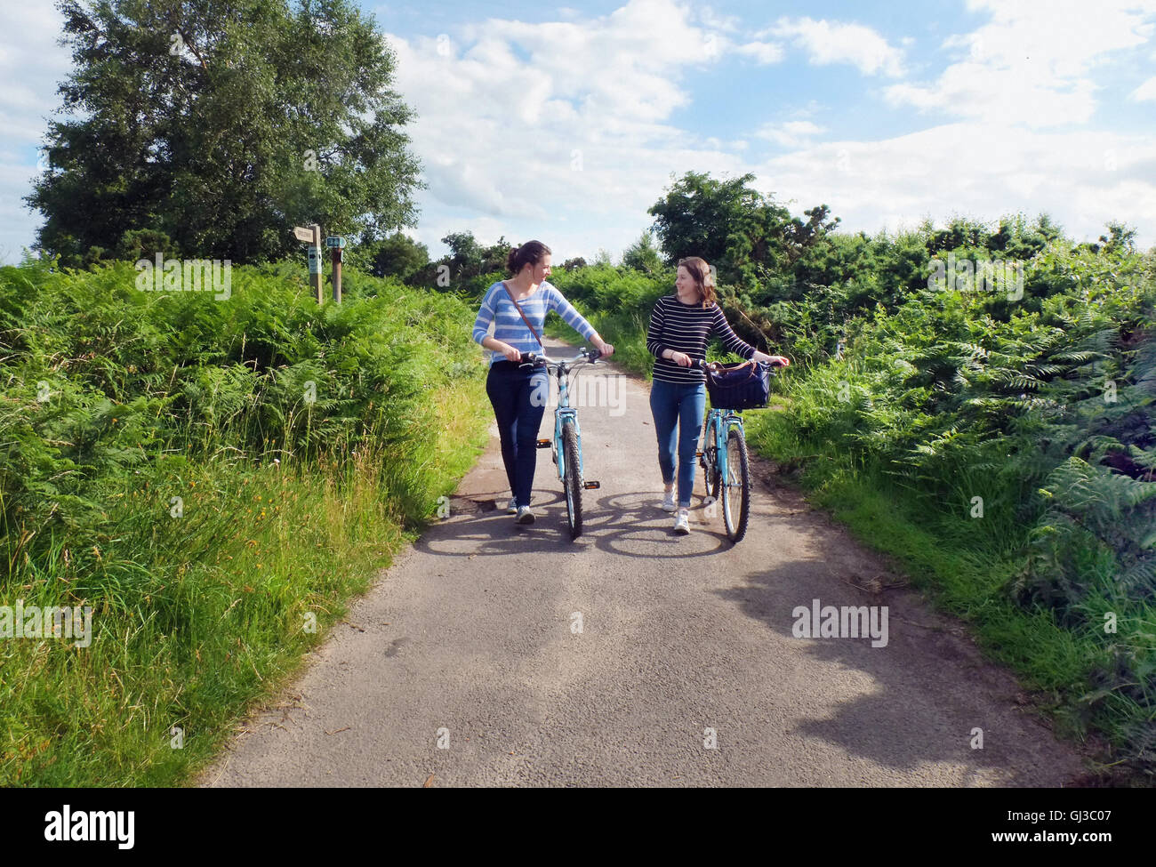 Dos adultos jóvenes empujando las bicicletas a lo largo de Carril del país Foto de stock