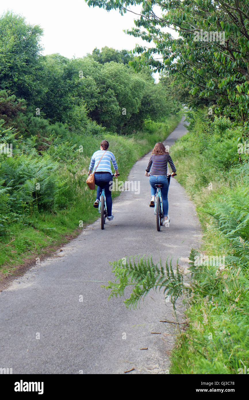Vista trasera de dos jóvenes hermanas adultas en bicicleta a lo largo de Carril del país Foto de stock