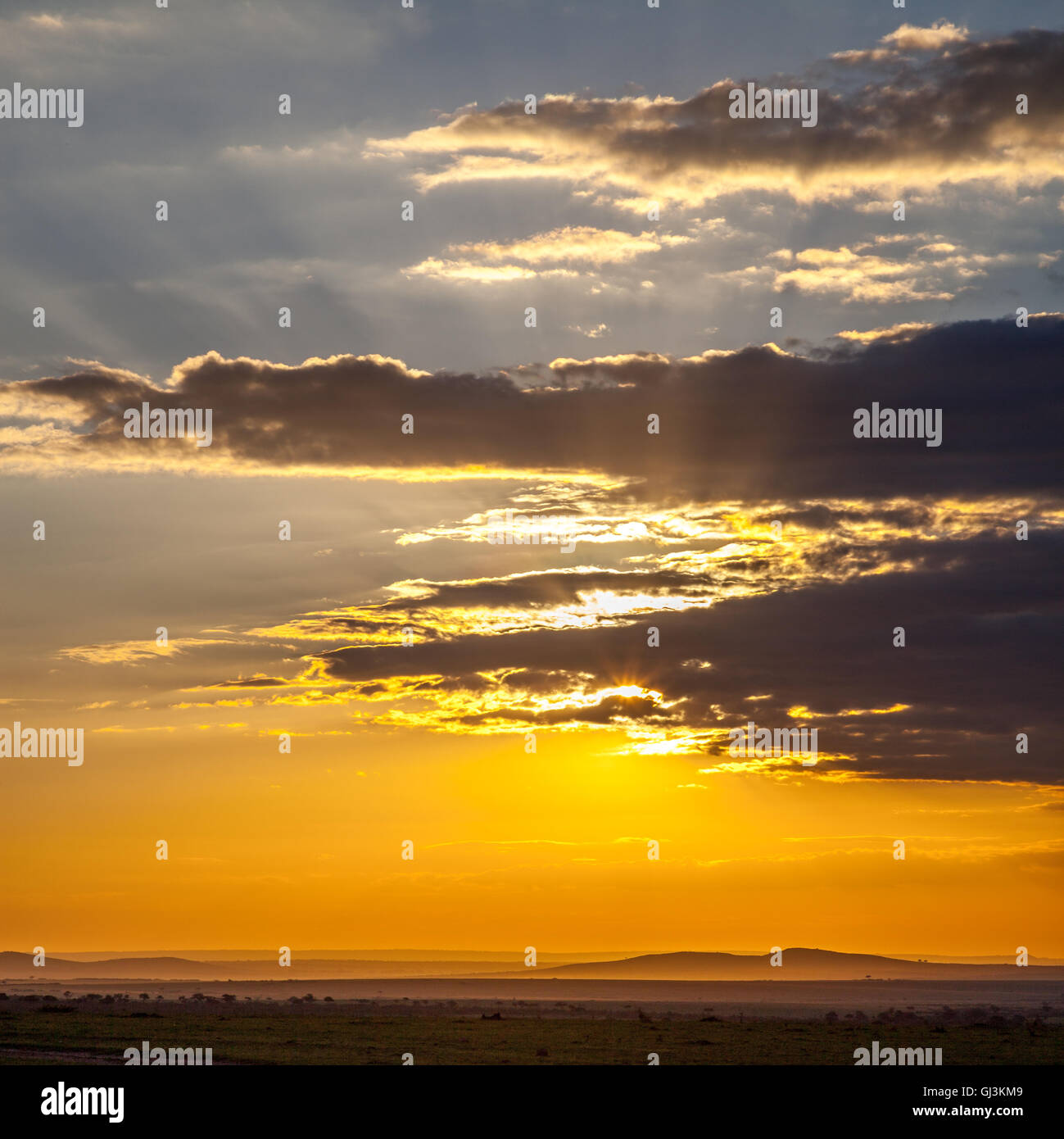 Puesta de sol sobre el massai mara Foto de stock