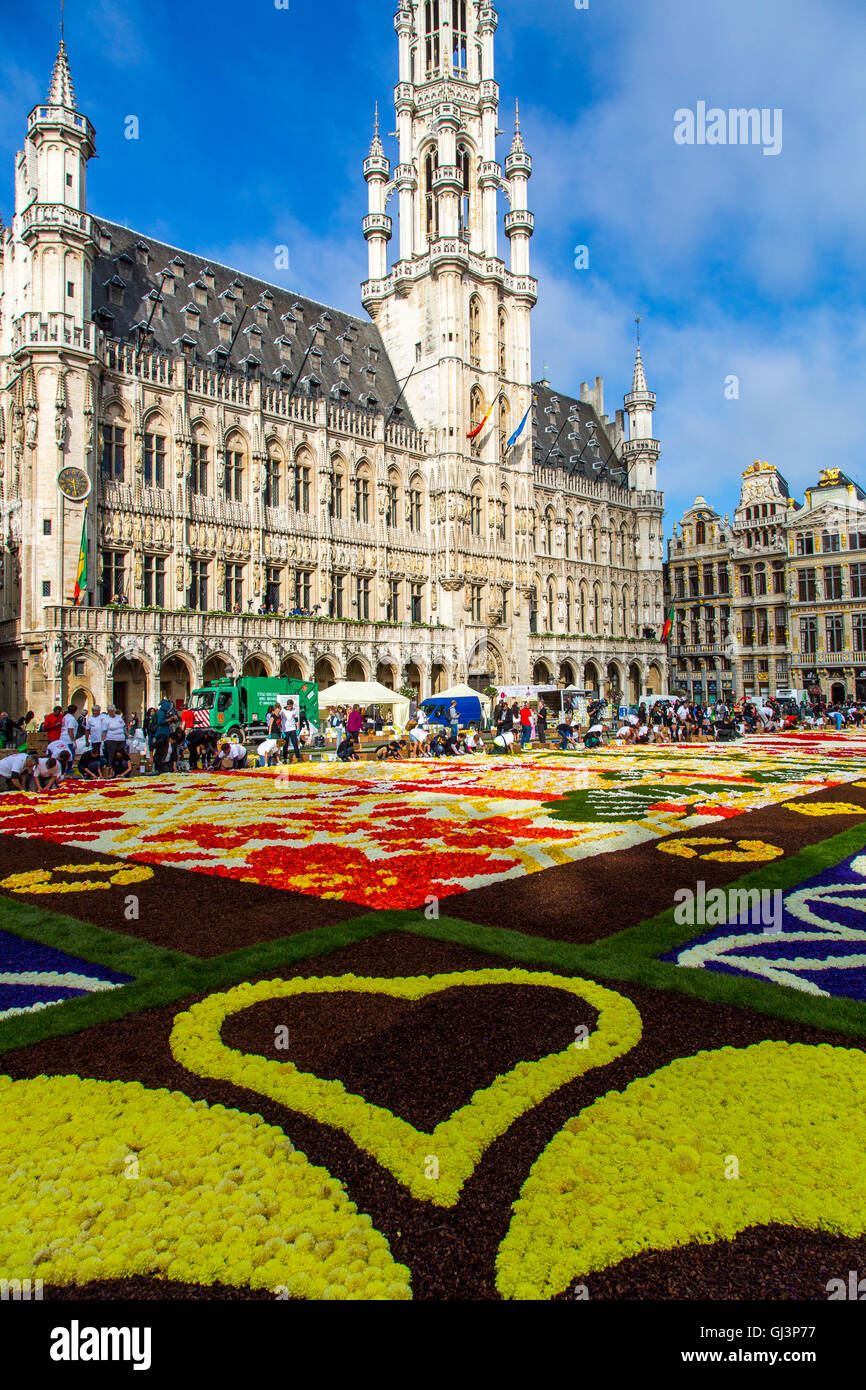 Alfombra de Flores en la Grand Place de Bruselas, en Bélgica La gente admirar Alfombra de Flores en la Grand Place de