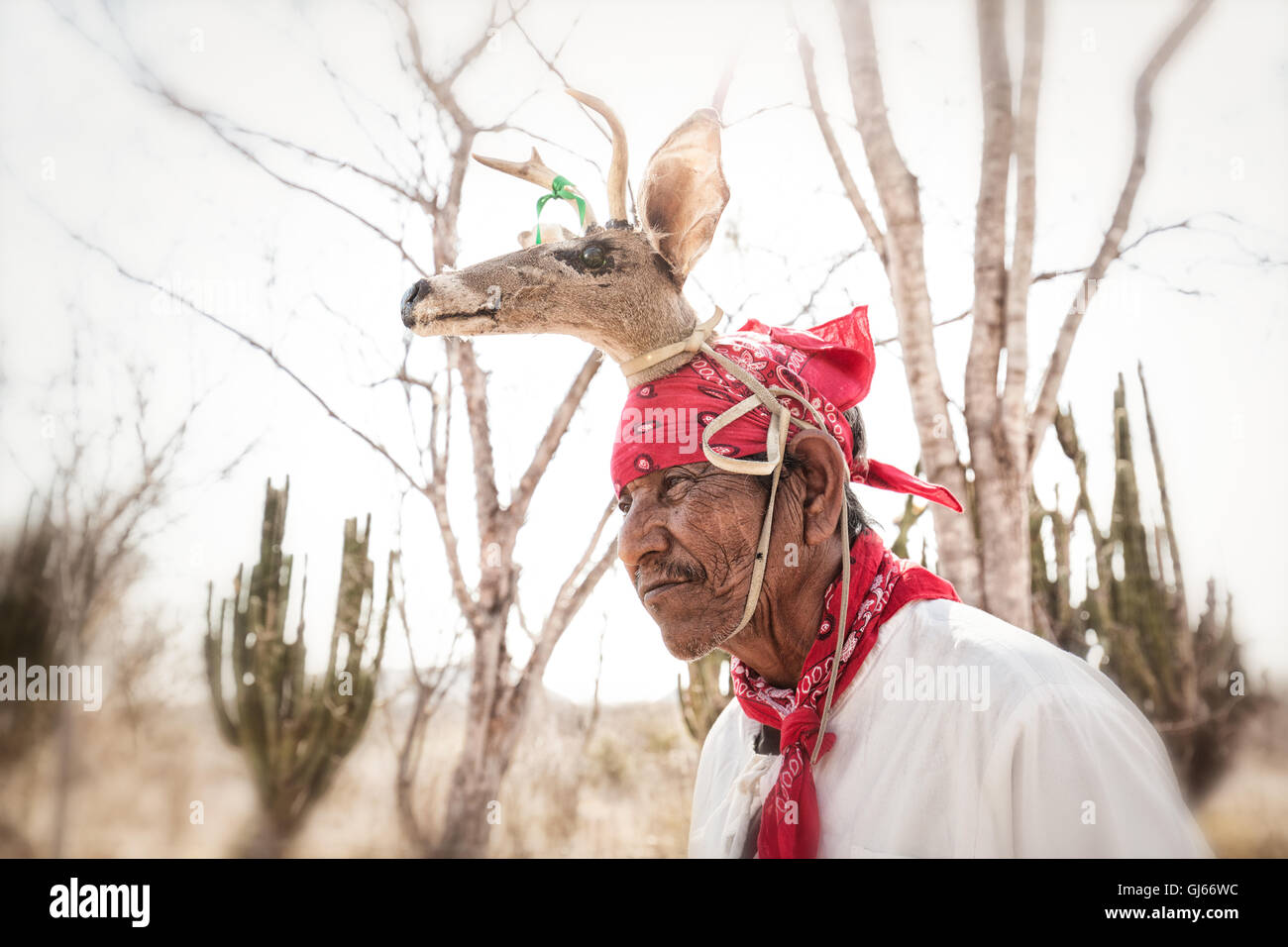 Retrato de una bailarina de realizar la tradicional danza del venado en la aldea de Capomos cerca de El Fuerte, México. Foto de stock