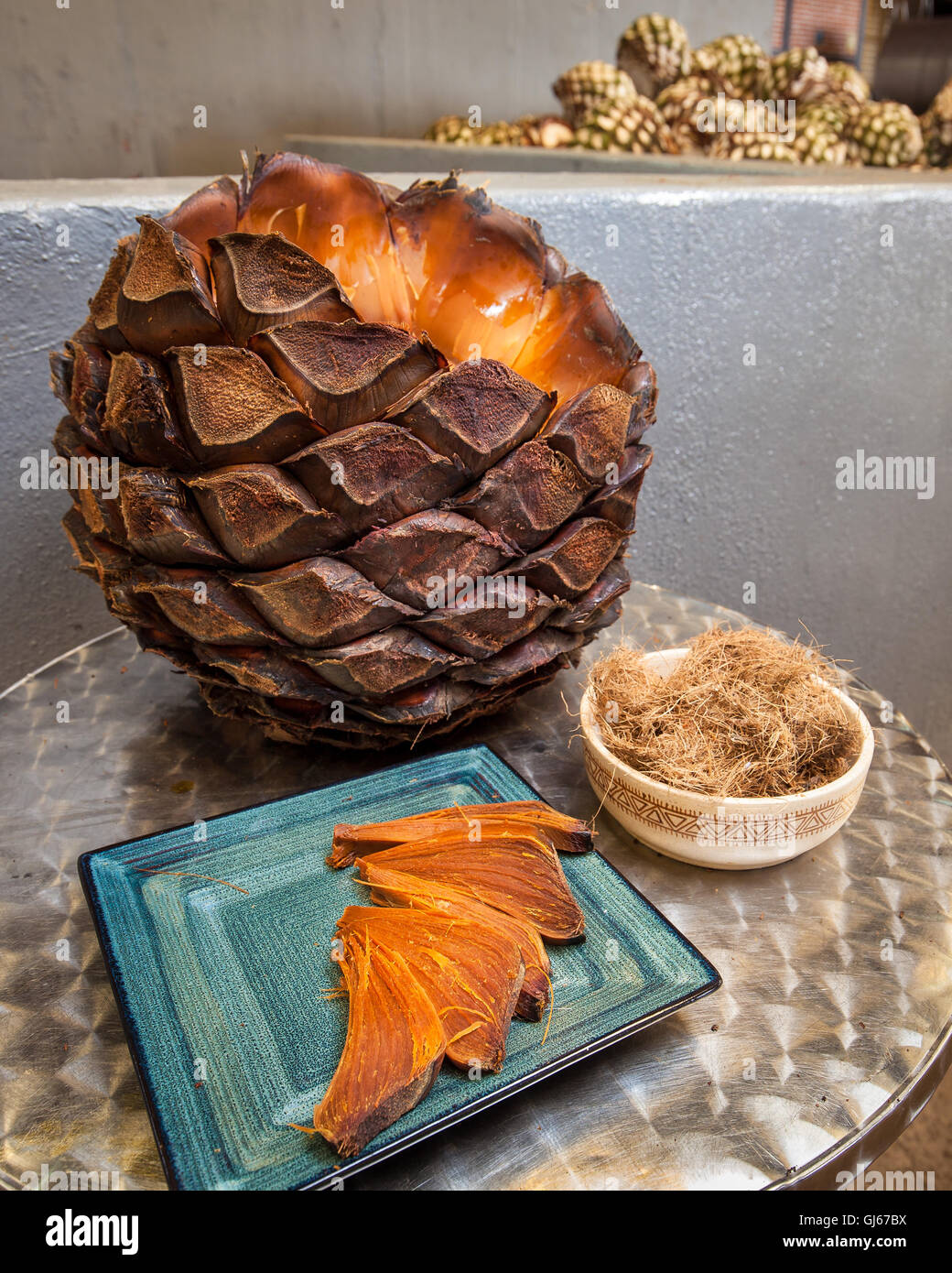 El corazón de un cocido de agave azul antes se tritura para extraer la pulpa utilizada para hacer tequila. Foto de stock