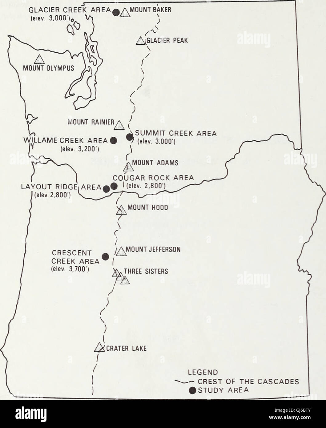 Menor crecimiento en altura de cuatro pendiente superior de coníferas
