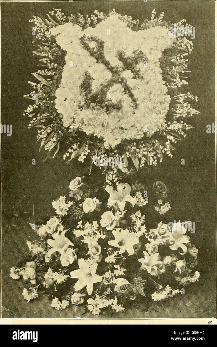 La florería americana - una revista semanal para el comercio (1904) Foto de stock