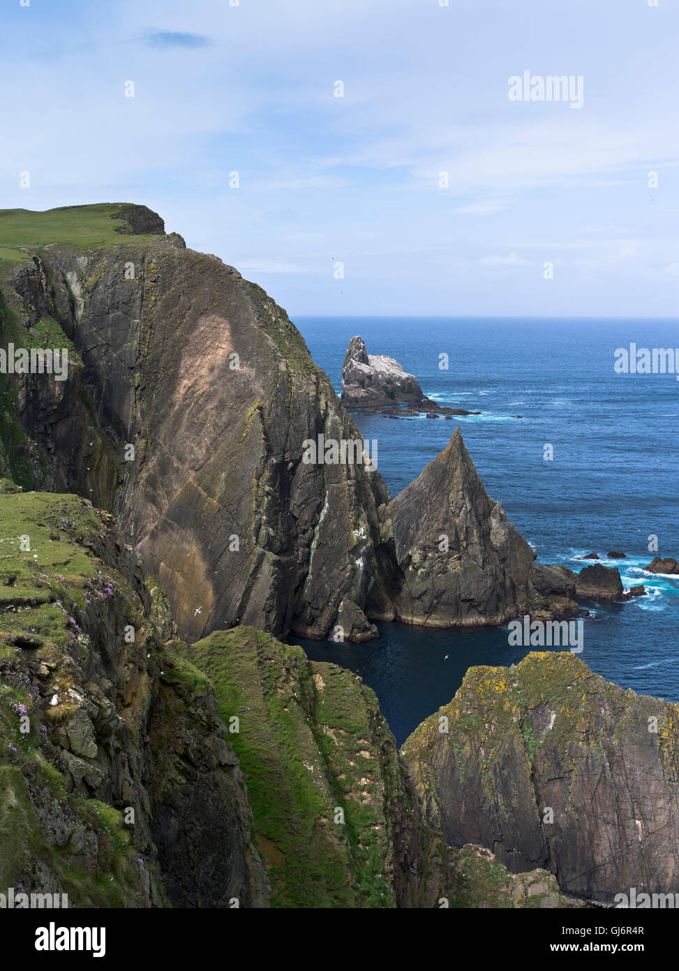 Dh Fair Isle Shetland acantilados de la costa norte del mar colonia de alcatraces pilas paisaje Escocia Foto de stock