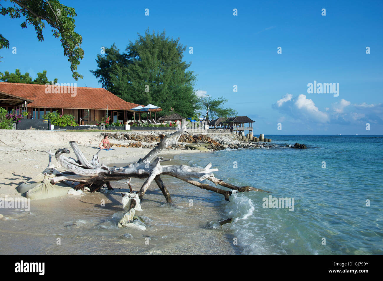 Costa y playa con driftwood Gili Trawangan Indonesia Foto de stock