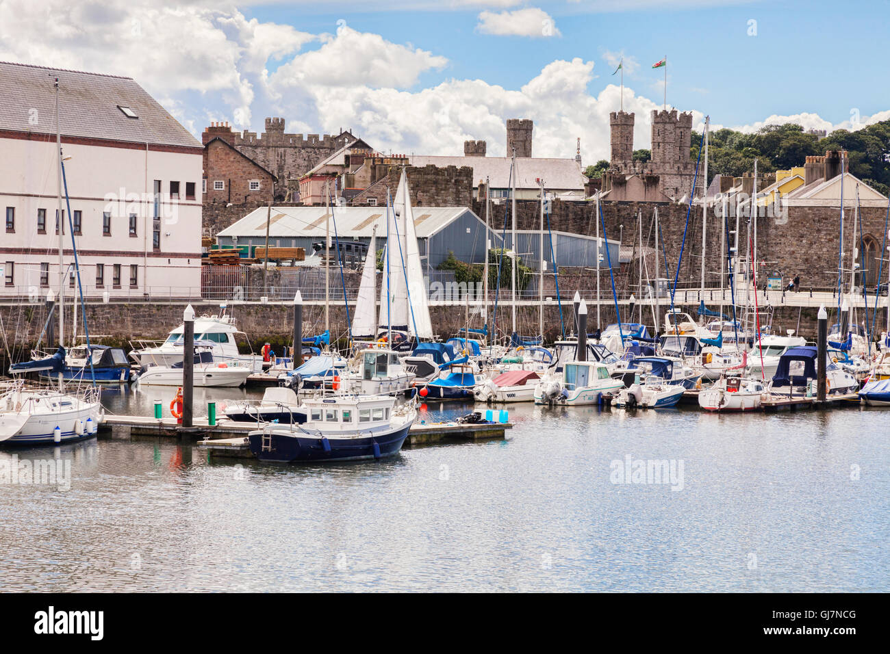 Victoria Dock, Caernarfon, Gwynedd, Gales, Reino Unido Foto de stock