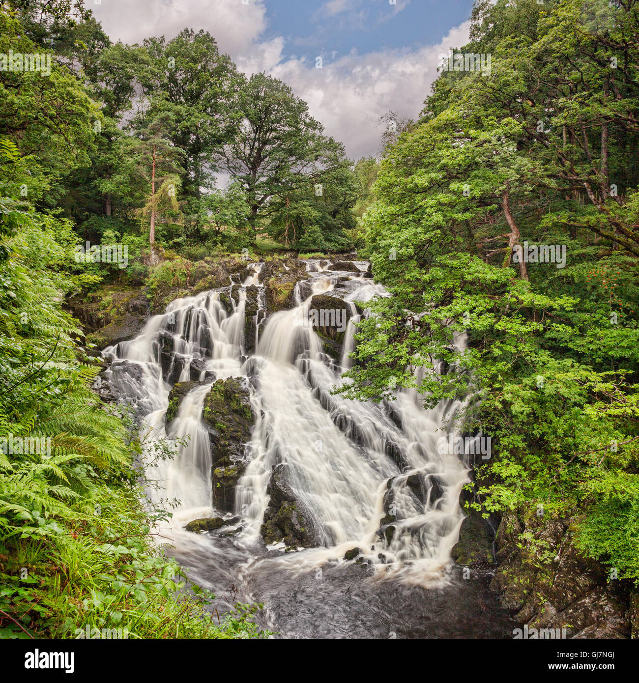 Swallow Falls en el Parque Nacional de Snowdonia, cerca de Betws Y Coed, Conwy, Gales, Reino Unido. Foto de stock