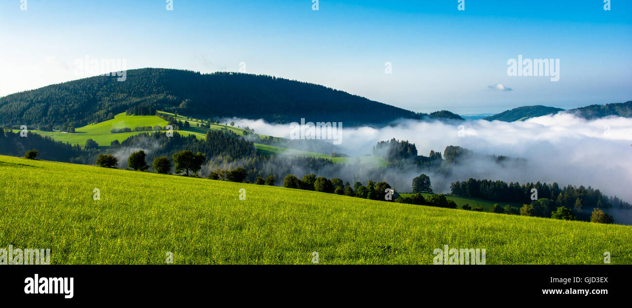 Paisaje alpino con el valle de Foggy y el bosque en Estiria, en Austria Foto de stock