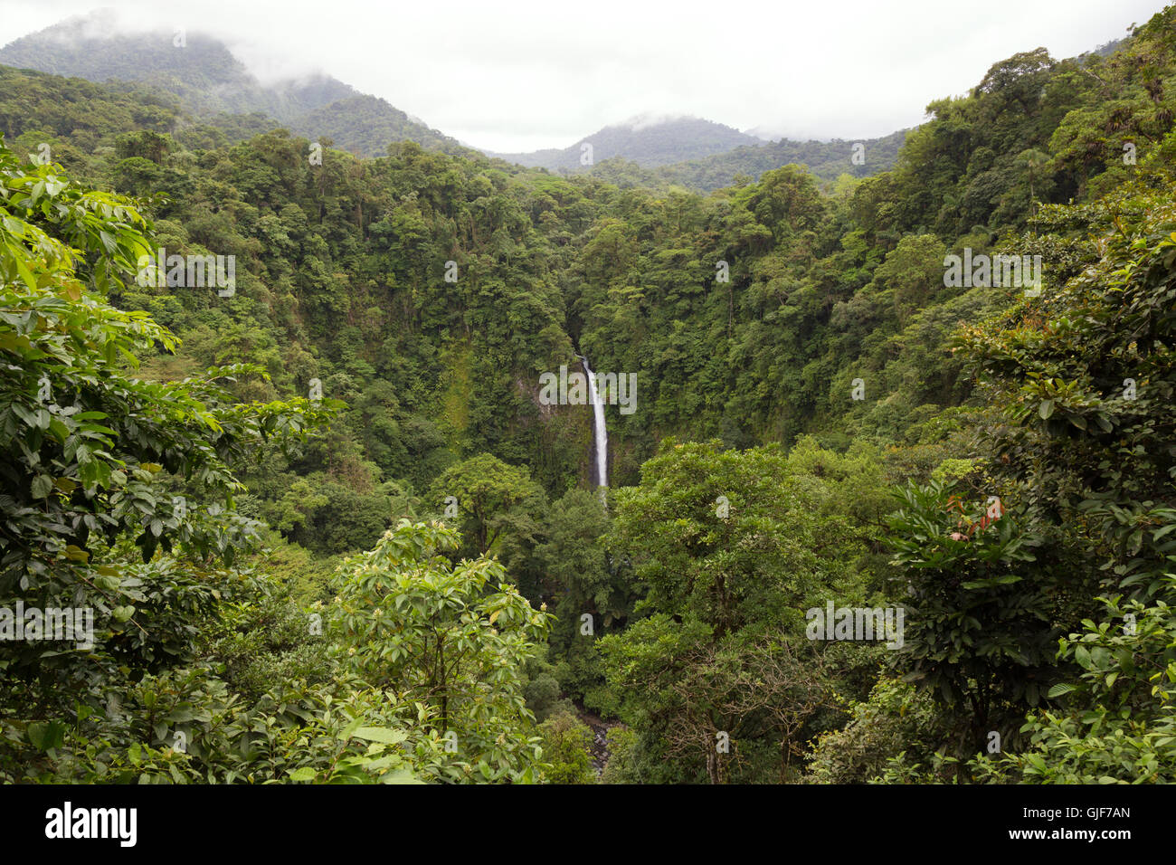 La Catarata de La Fortuna cae a través de la selva, el Arenal, provincia de Alajuela, Costa Rica, Centroamérica Foto de stock