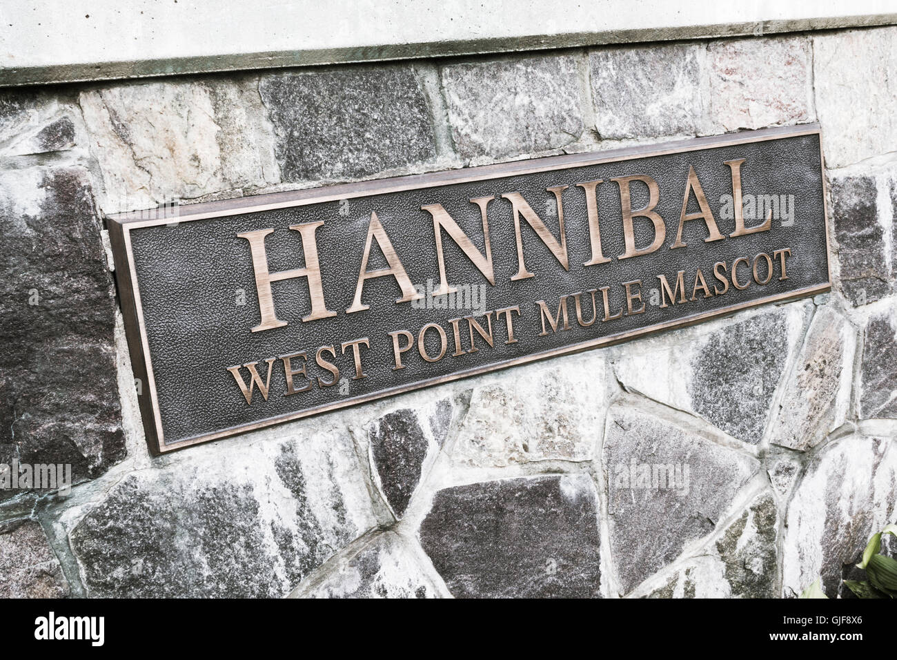 Hannibal Ejército Mula mascota Placa, West Point, NY, EE.UU. Foto de stock