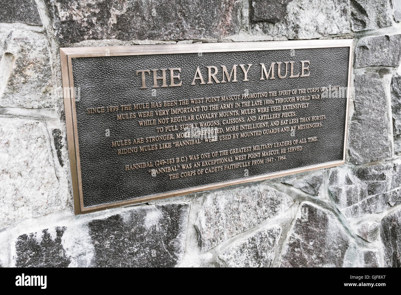 Hannibal Ejército Mula mascota Placa, West Point, NY, EE.UU. Foto de stock