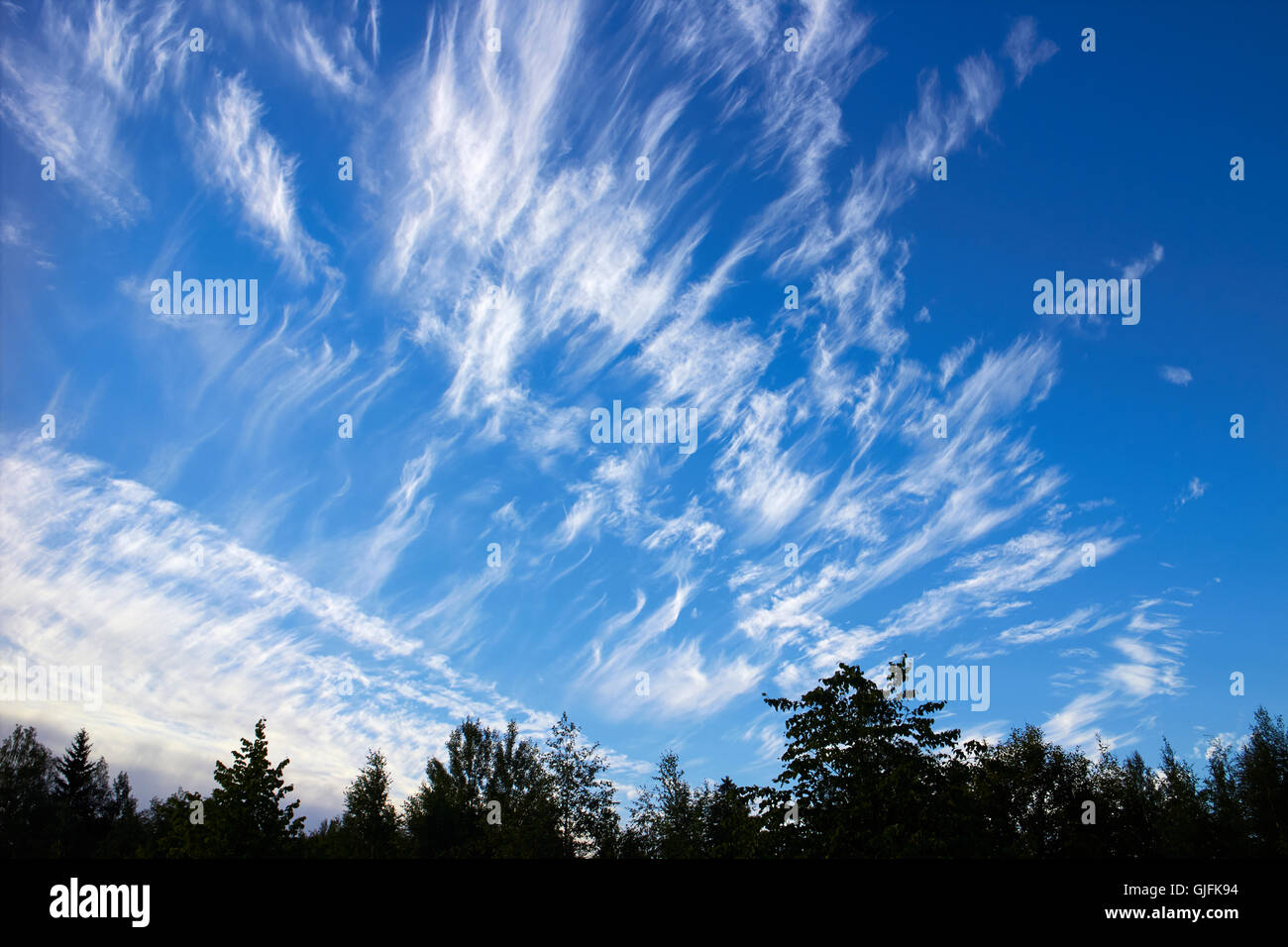 Las nubes cirrus fibratus, Finlandia Foto de stock