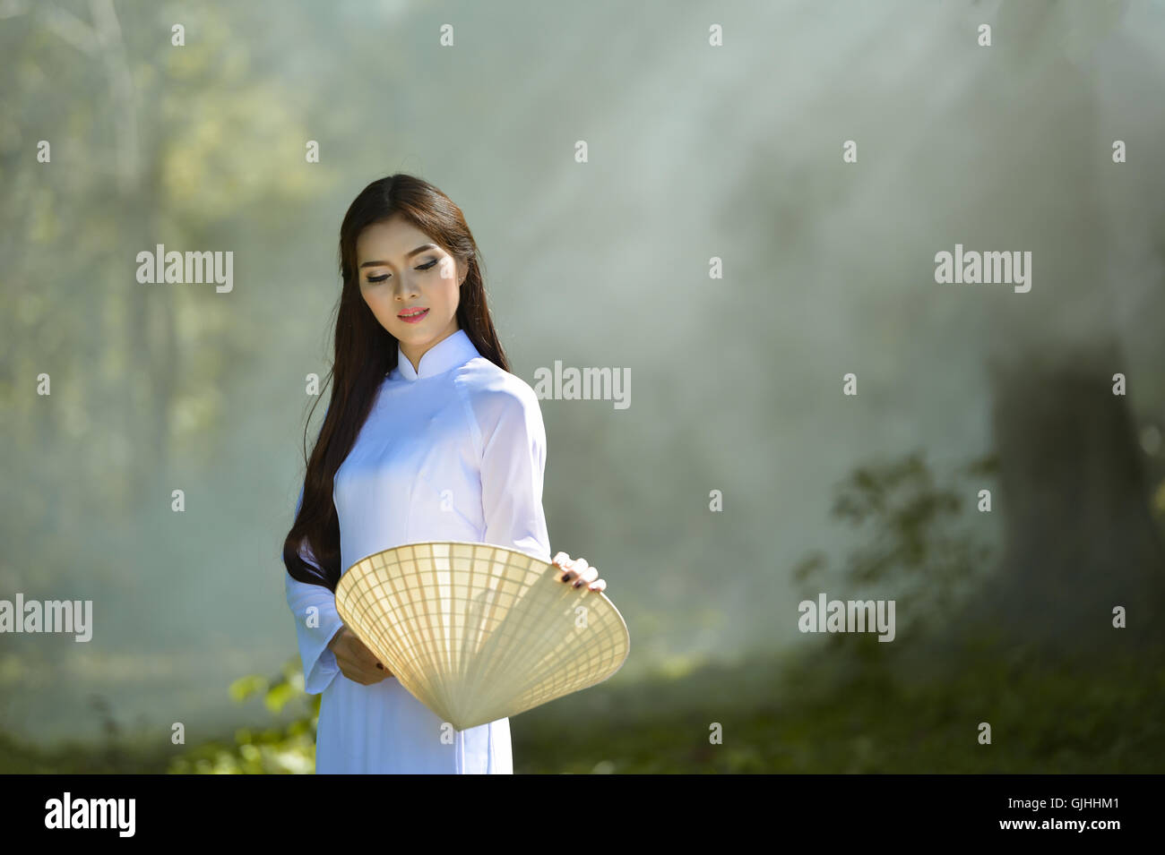Retrato de una mujer en ropas tradicionales, Vietnam Foto de stock