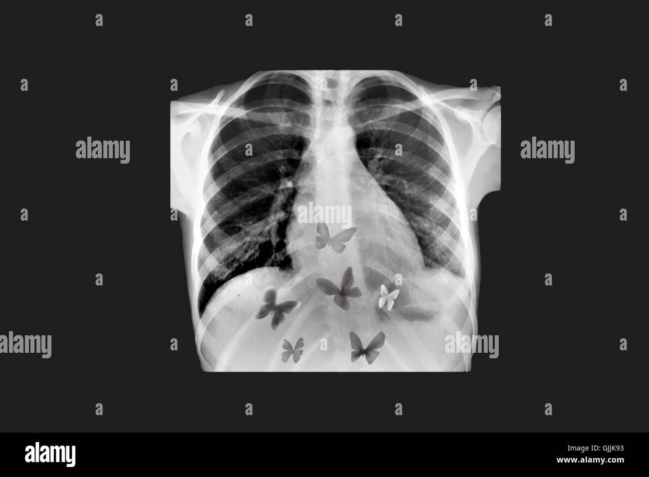 Butterfly ray fotografías e imágenes de alta resolución Alamy