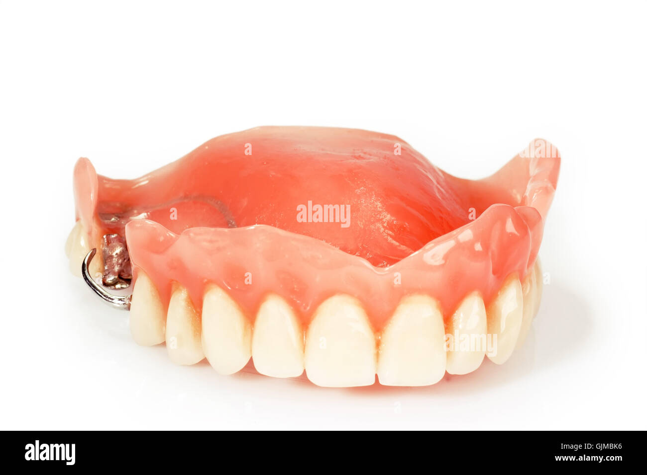 Modelo médico de la mandíbula con dientes postizos en un alfiler
