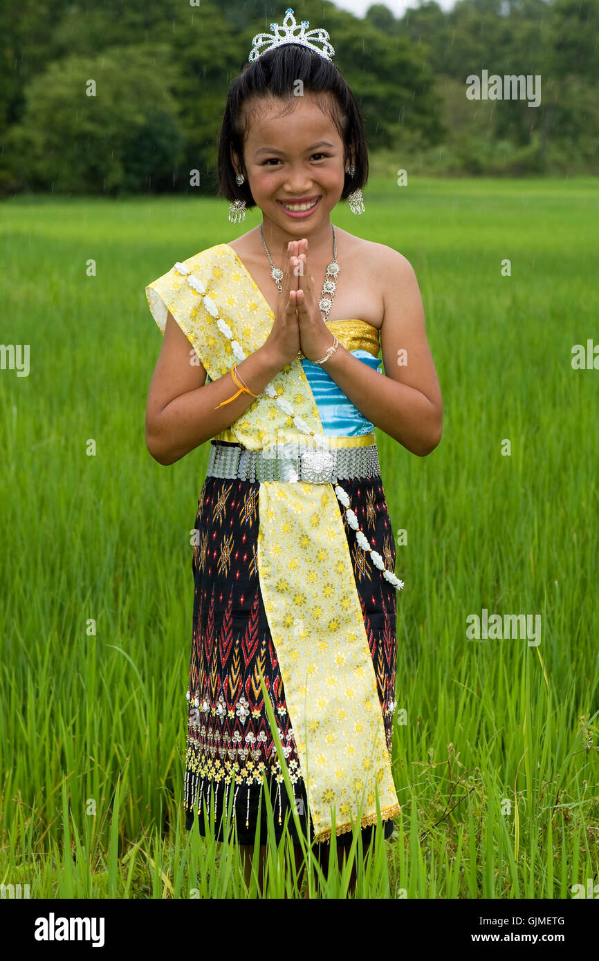 Asia Tailandia arrozal Foto de stock