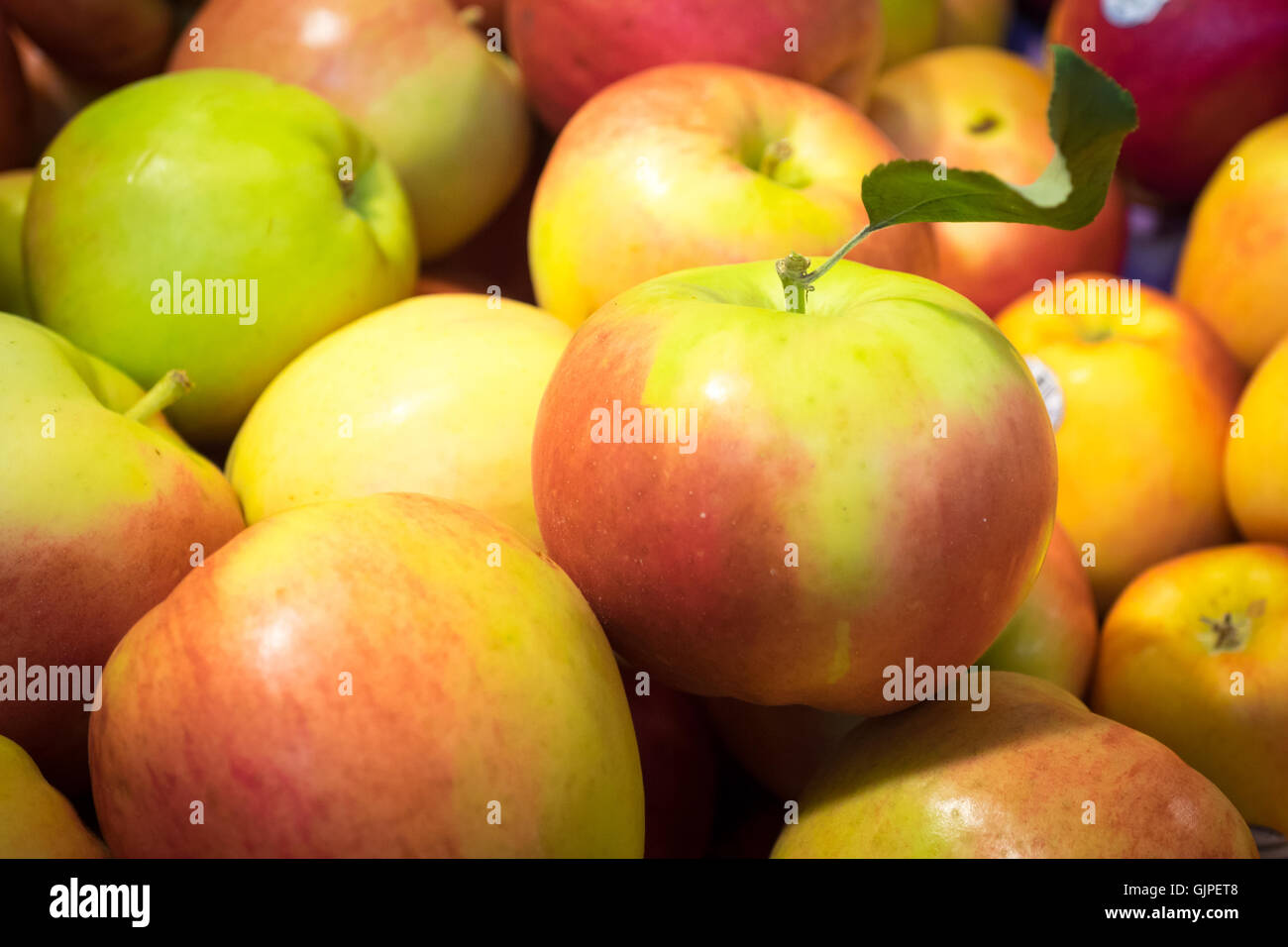 SunCrisp manzanas para la venta en el Mercado Público de la Isla Granville en Vancouver, British Columbia, Canadá. Foto de stock