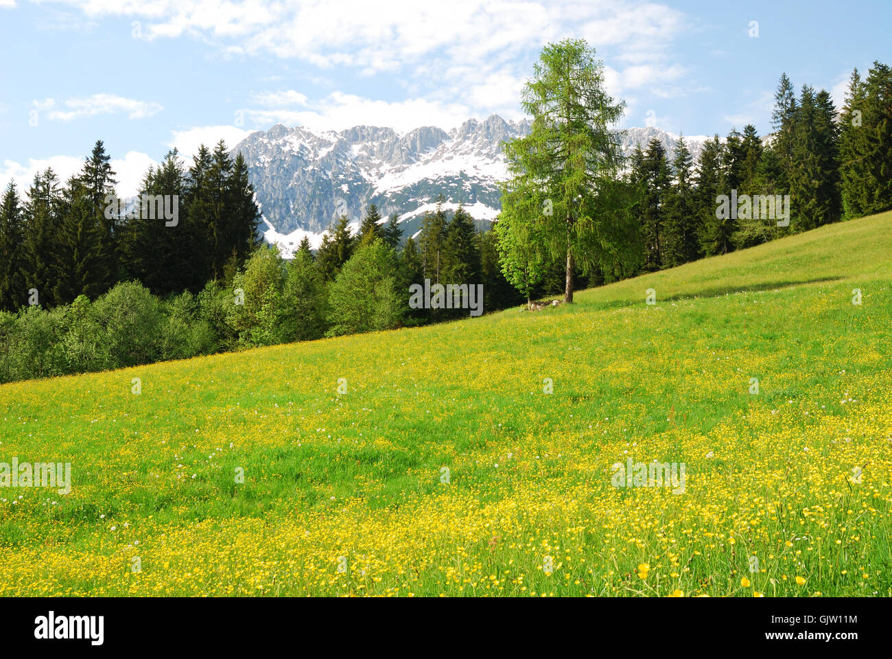 Alpes austria idilio Foto de stock