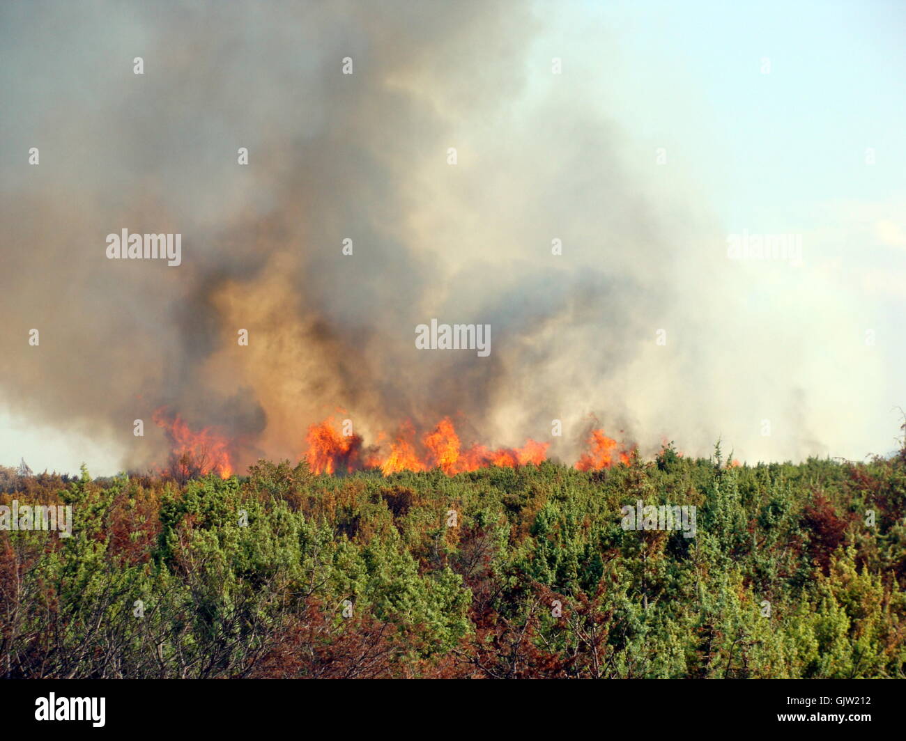 incendios forestales Foto de stock
