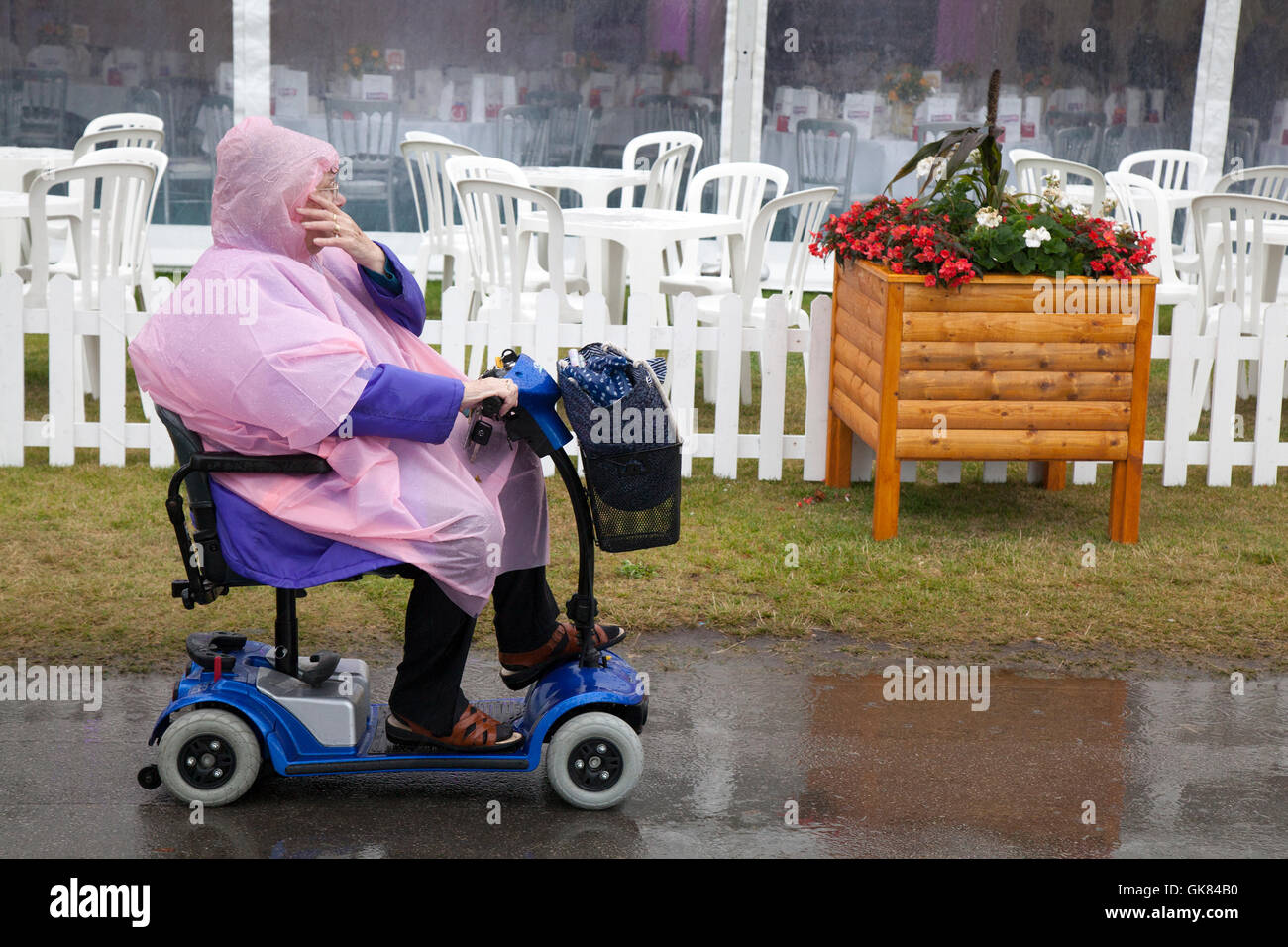 Usuario de Silla de ruedas en Southport Flower Show, Merseyside, Reino Unido. 19 Aug 2016: las fuertes lluvias no podría amortiguar los espíritus de los visitantes de este año en la Feria de las flores en Southport. Senior, pensionista persona discapacitada mediante movilidad scooter. Paraguas y wellies fueron los top fashion Sugerencia del día. El flower show independiente más grande de Inglaterra, está a la espera de miles de visitantes durante los cuatro días del evento. Crédito: MediaWorld Images/Alamy Live News Foto de stock