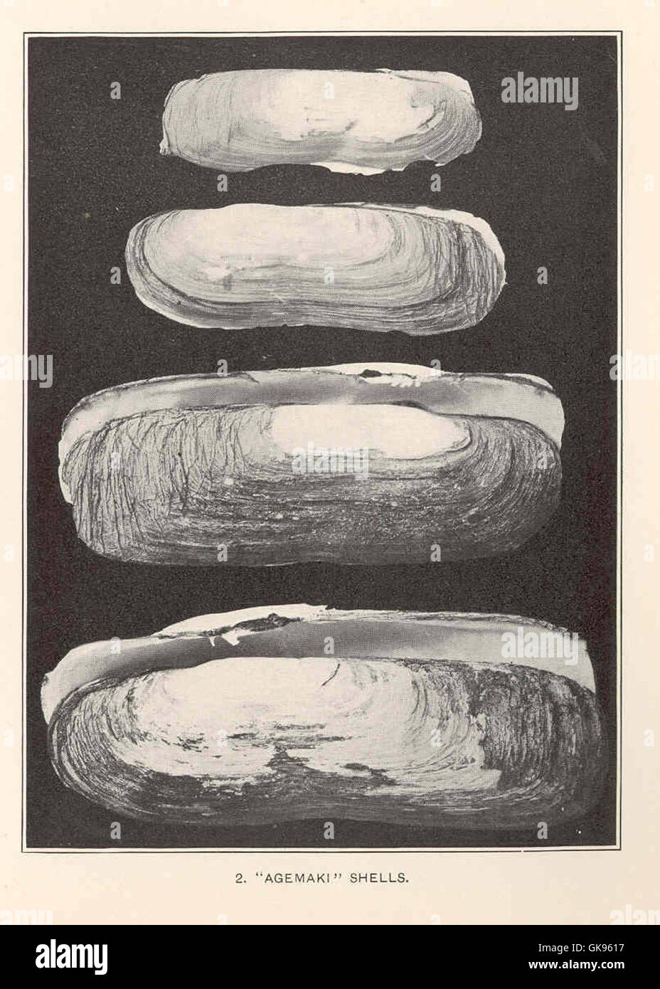 Agemaki Fotos e Imágenes de stock - Alamy